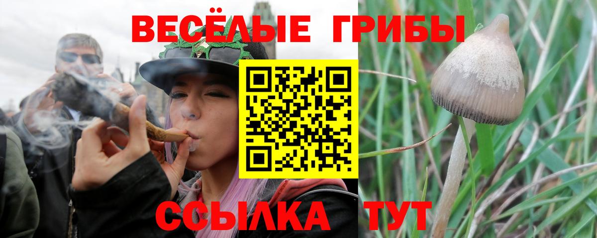 Реутов  Псилоцибиновые грибы прущие грибы  Вход с VPN 
